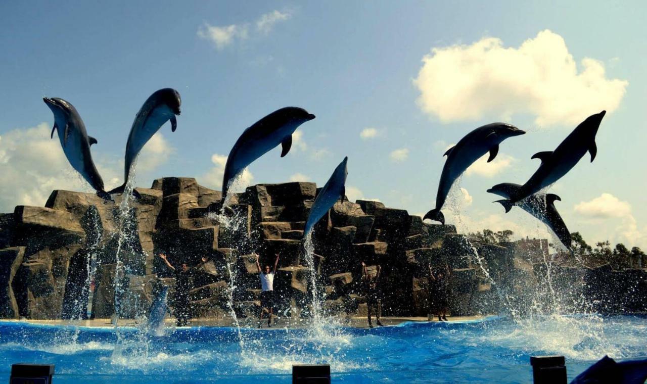 Batumius Apartments المظهر الخارجي الصورة